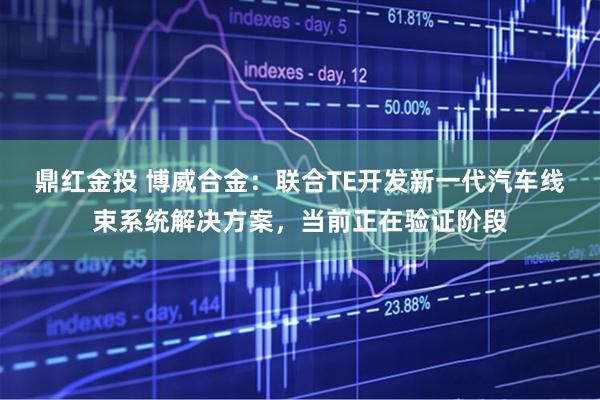 鼎红金投 博威合金：联合TE开发新一代汽车线束系统解决方案，当前正在验证阶段