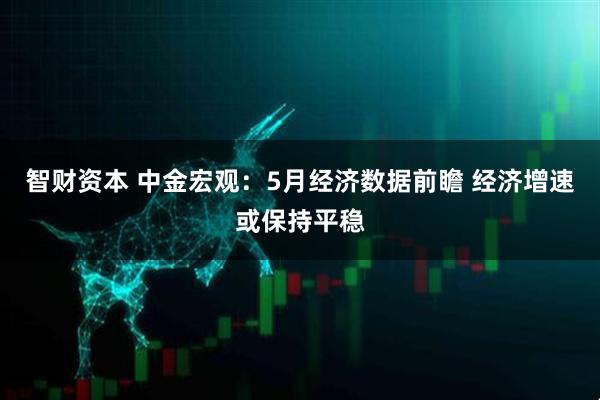 智财资本 中金宏观：5月经济数据前瞻 经济增速或保持平稳