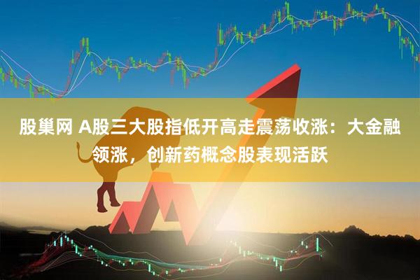 股巢网 A股三大股指低开高走震荡收涨：大金融领涨，创新药概念股表现活跃