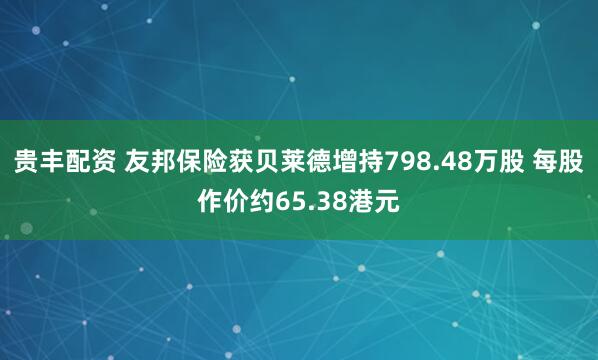 贵丰配资 友邦保险获贝莱德增持798.48万股 每股作价约65.38港元
