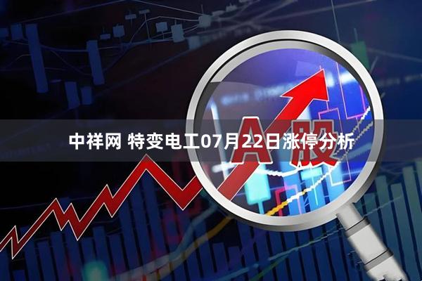 中祥网 特变电工07月22日涨停分析