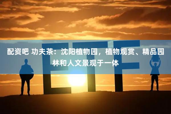 配资吧 功夫茶：沈阳植物园，植物观赏、精品园林和人文景观于一体
