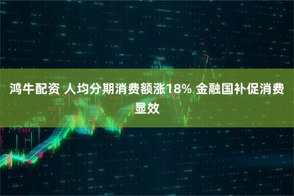 鸿牛配资 人均分期消费额涨18% 金融国补促消费显效