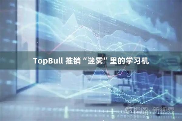 TopBull 推销“迷雾”里的学习机