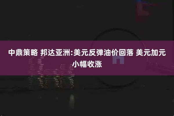 中鼎策略 邦达亚洲:美元反弹油价回落 美元加元小幅收涨