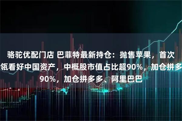 骆驼优配门店 巴菲特最新持仓：抛售苹果，首次建仓谷歌！高瓴看好中国资产，中概股市值占比超90%，加仓拼多多、阿里巴巴