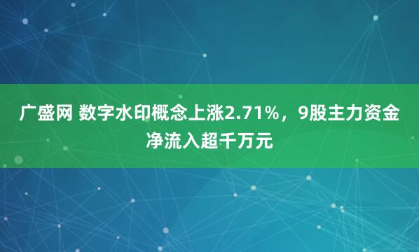 广盛网 数字水印概念上涨2.71%，9股主力资金净流入超千万元
