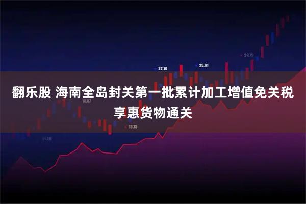 翻乐股 海南全岛封关第一批累计加工增值免关税享惠货物通关