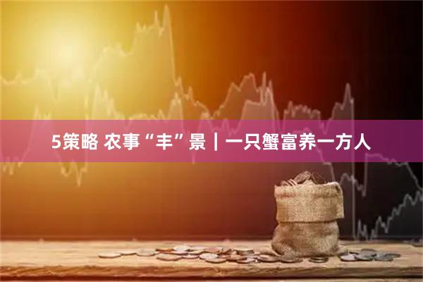 5策略 农事“丰”景｜一只蟹富养一方人